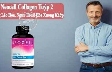 187-collagen-type-2 - -collagen-tuyp-2-khong-bien-tinh-cua-my8