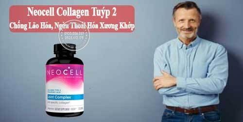 187-collagen-type-2 - -collagen-tuyp-2-khong-bien-tinh-cua-my8