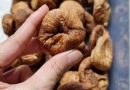 sung-my-organic-sun-dried-figs-co-tac-dung-gi-review-su-that-co-tot-khong
