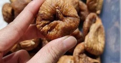 sung-my-organic-sun-dried-figs-co-tac-dung-gi-review-su-that-co-tot-khong